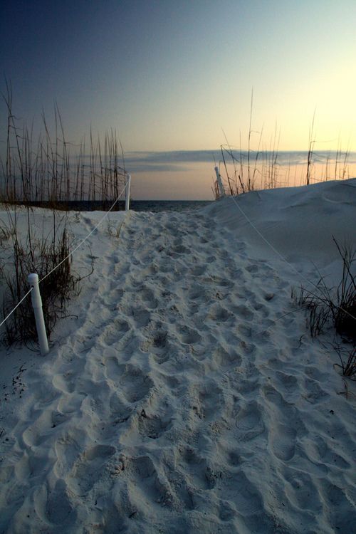  photo af569bfce8da6392edf57d3a6a37114e_zpsf9d9048d.jpg