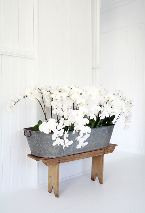  photo aslarge_zps355357c8.jpg