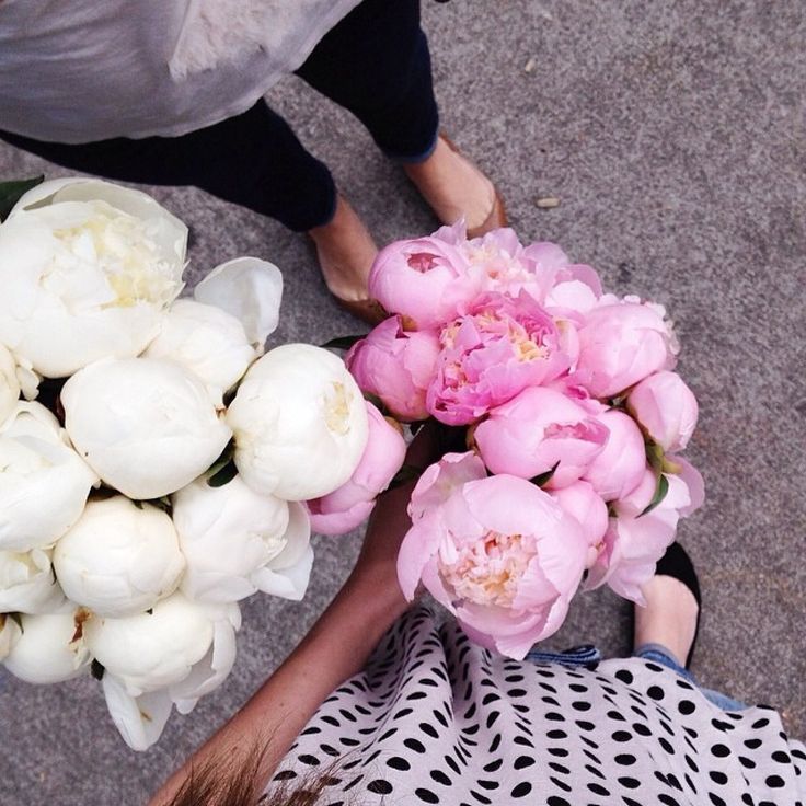  photo ce75125f4594499d7150b69d4938a80b_zps3b980ce4.jpg