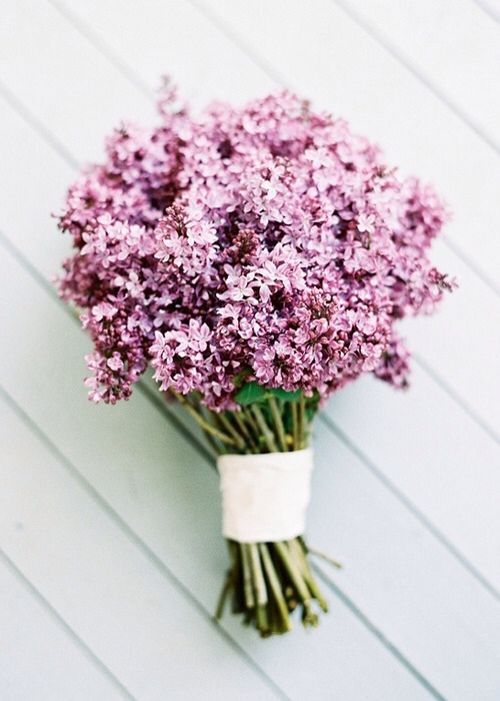  photo d6bbd40e90b49ca304208322edabc5de_zps3655e3ed.jpg