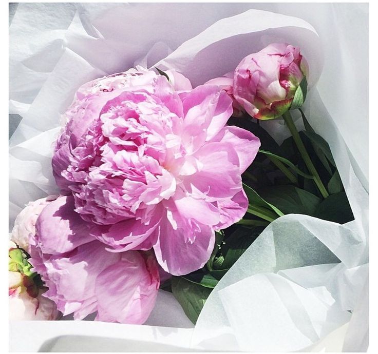  photo e2103ffdef52f6106ad8f6c978ad3536_zps0702c2b4.jpg