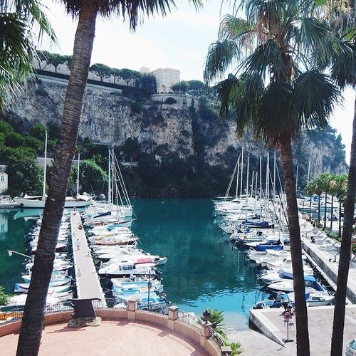  photo jhkjhkjhlarge_zps12fc40bf.jpg