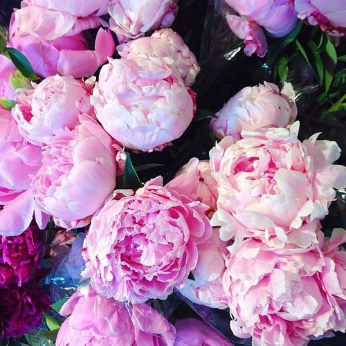  photo tumblr_n5r0mksVTI1qzsvm1o1_500_zpsf6d47578.jpg