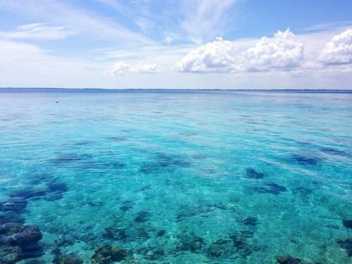  photo xlarge_zps9d988938.jpg