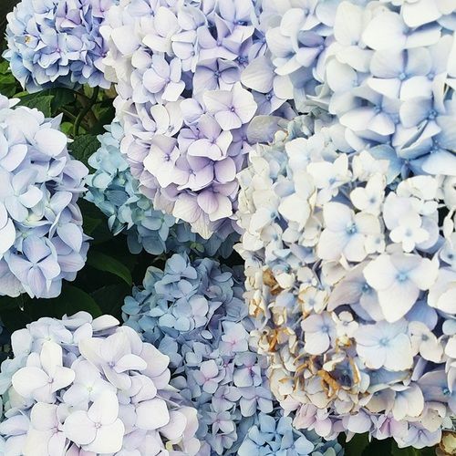  photo zxzxlarge_zpsfbf1b6d6.jpg