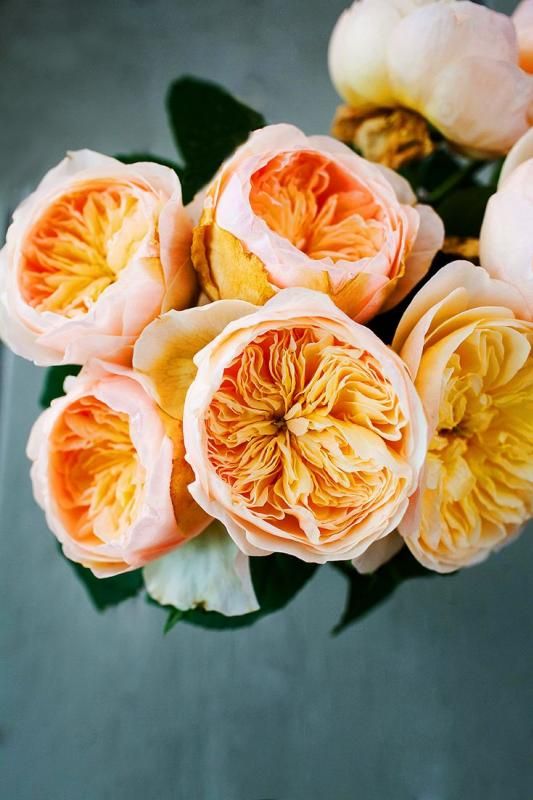  photo a722adb299d69cfee3d9867cb93f9315_zps860ee4f8.jpg