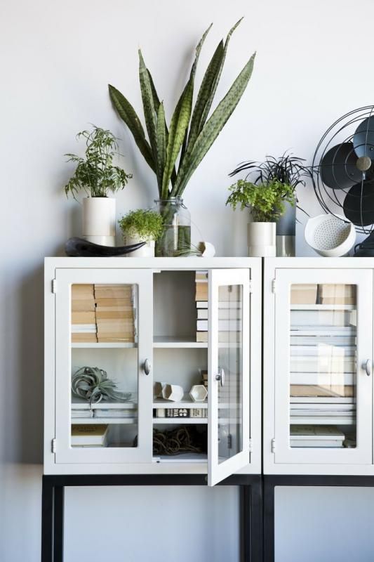  photo cfa578155dce4f901efe26c957b7f801_zps2893d616.jpg