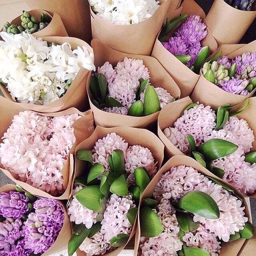  photo dlarge_zpsf5b8ce33.jpg