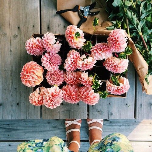  photo fdsfsdfghjlarge_zps86825532.jpg