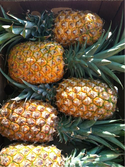  photo tumblr_m9nvju65Ou1r5m1kro1_1280_large_zps5f2871ad.jpg