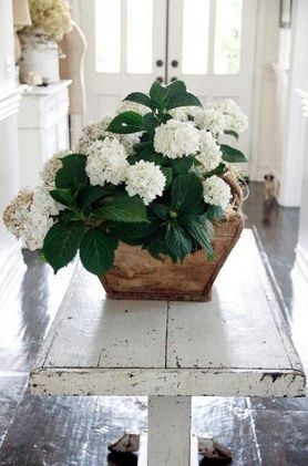  photo 150307706285550522_2wxEYvfY_c_zpsbc324b9d.jpg