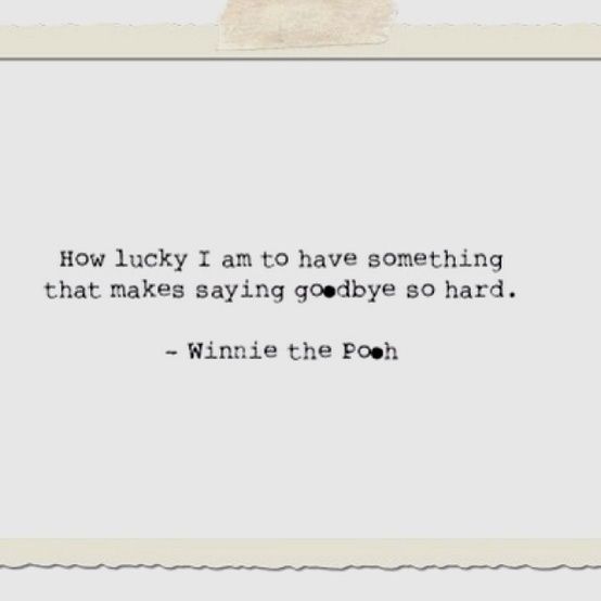  photo 6e442d64e0276c4aba4102b26193c2ce_zps5b919de6.jpg