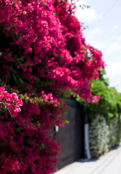  photo tumblr_m4u4kxn3rd1qz8619o1_1280_large_zps9da3f03b.jpg