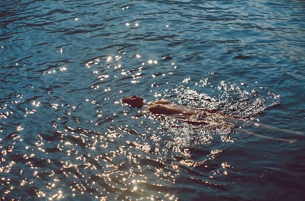  photo 512af6c324b8dba76113061b57e7f581_zps4b097f27.jpg