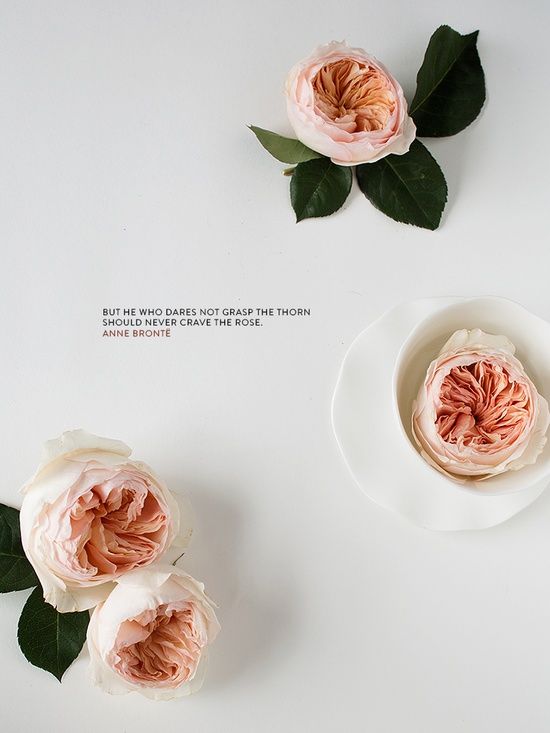  photo 59d32a631b5cbcc0ecbc94209a9d519c_zps5d4cbea1.jpg