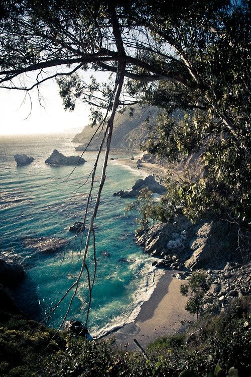  photo 74685ef63b34dc65a30c9c714de88fe2_zps0552cc5d.jpg