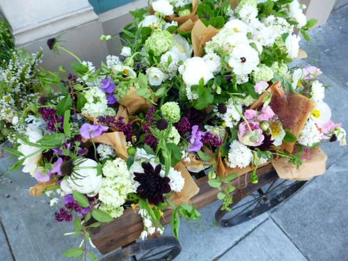  photo tumblr_me8mevwmGV1r5s8n1o1_500_large_zps2f3c2b37.jpg