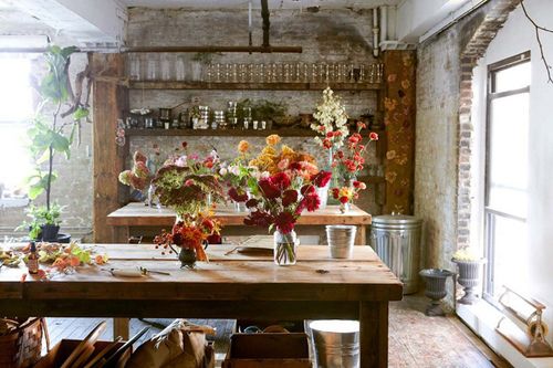  photo tumblr_mg5u3kNkfV1qb66m5o1_500_large_zps74756512.jpg