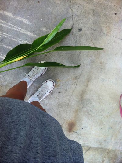  photo tumblr_mgre3wsLxU1qcp94ko1_400_zps84105681.jpg