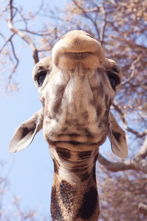  photo tumblr_minrliVcpr1rvo927o1_500_large_zps555e9280.jpg