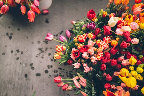  photo tumblr_mjmrmgLQWo1qzrkblo1_500_large_zpsb80db9cb.jpg