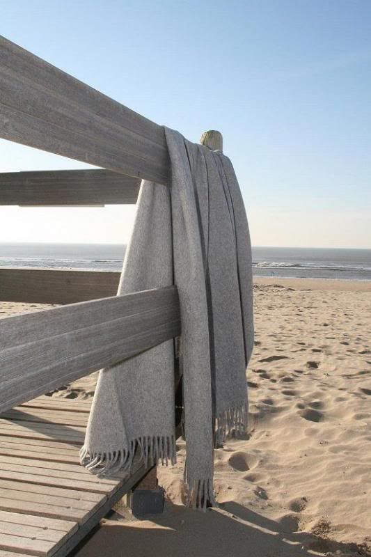  photo e9fe1472ce0652aa074d737046c027f3_zps6ce19eda.jpg