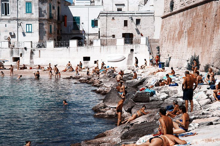  photo f58ed3fb94e10e64a6fe4676a8c91c3f_zps22a3bd95.jpg