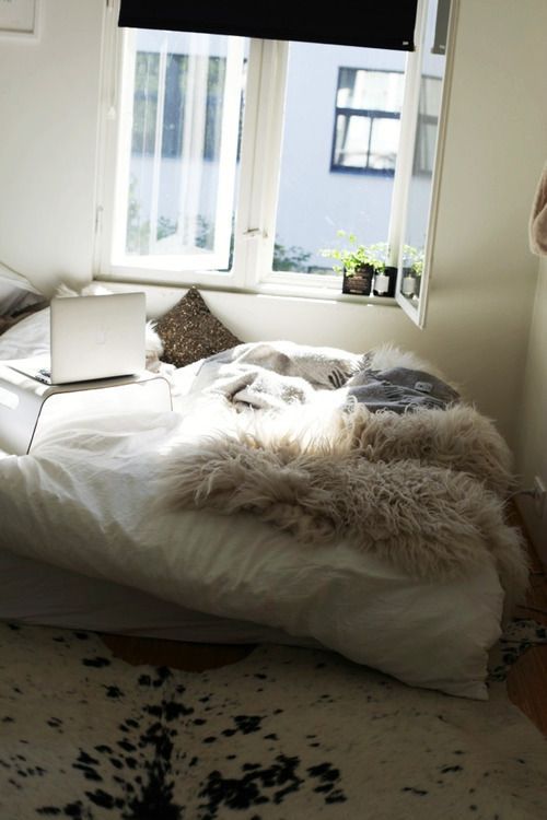  photo 53781a952885ed758be3ddac70801bec_zpsb242252f.jpg