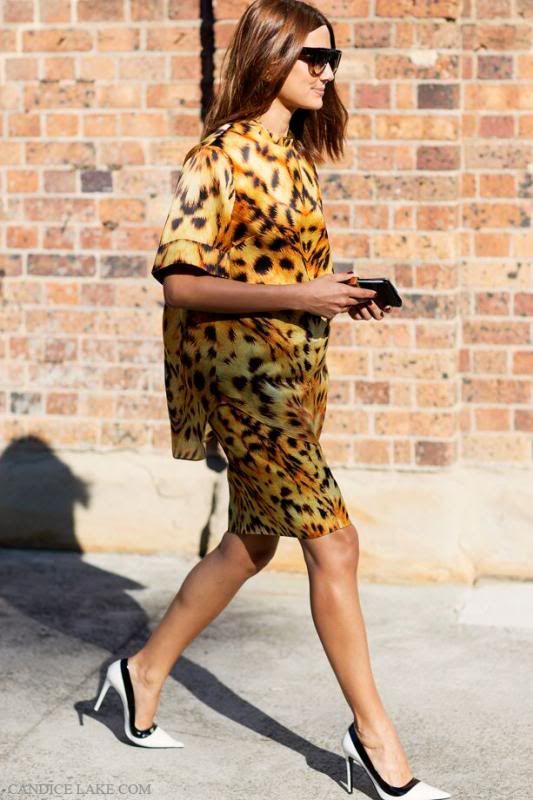  photo 757d4704eedbbe0b48ec9d8cfab0e3fa_zpse9ab2dc3.jpg