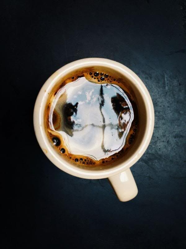  photo 6c17ab090272b4bcd8fce86cb9601ee0_zpsf5e40a9d.jpg