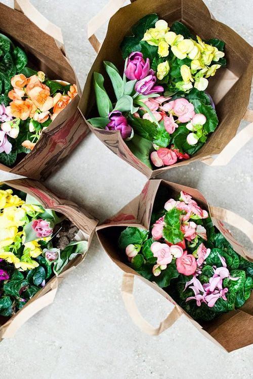  photo b3c4ebe22dc2a4bf7280271d6aefd301_zps0ca903be.jpg