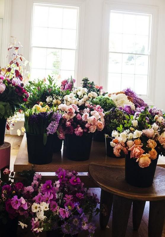  photo b5516a1131e00a18107b7d7c3597cfd3_zps88ba23e3.jpg