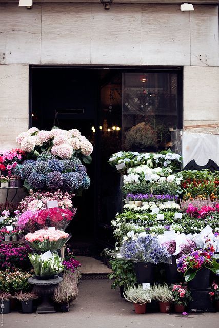  photo df708b39b4549041b433543749bbf059_zps0e0c98f9.jpg