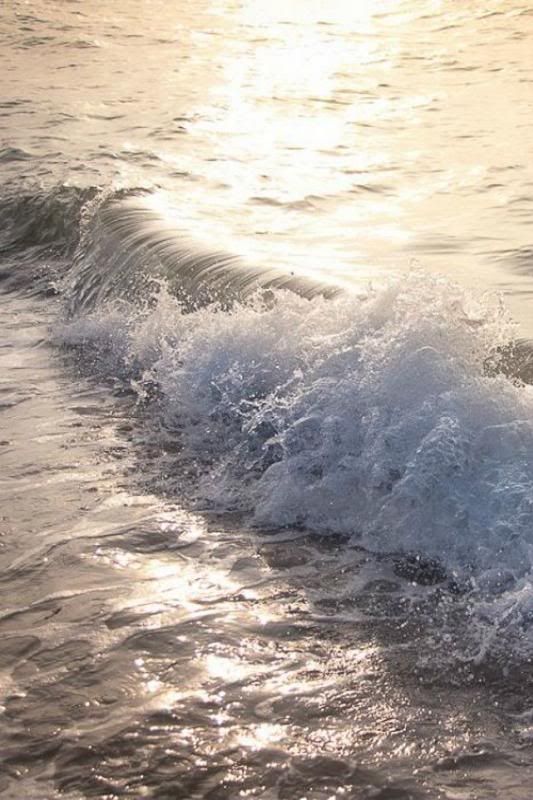  photo e7ed33a46648c1027c2dab75aad349c6_zps545a3ba6.jpg