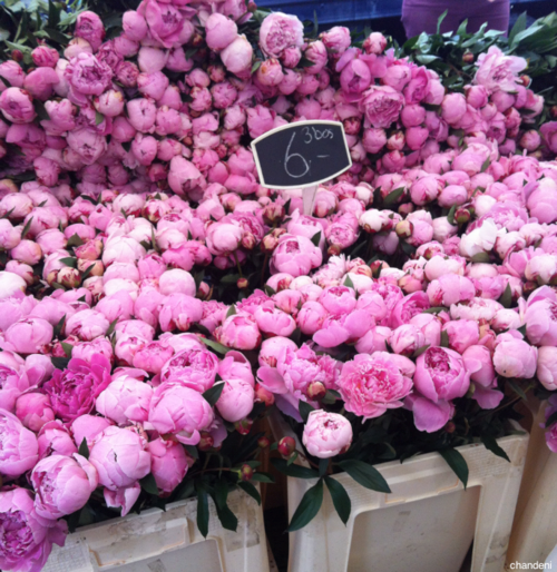  photo tumblr_mp5y0q7Uyp1qh257zo1_500_zps185271ab.png