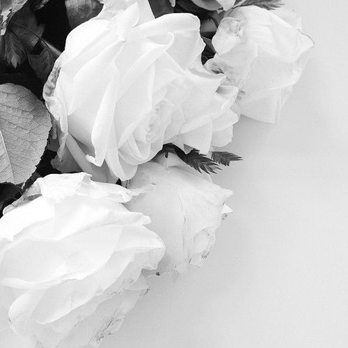  photo tumblr_n410lwfoMR1ralhjko1_500_zpsdbc60b21.jpg