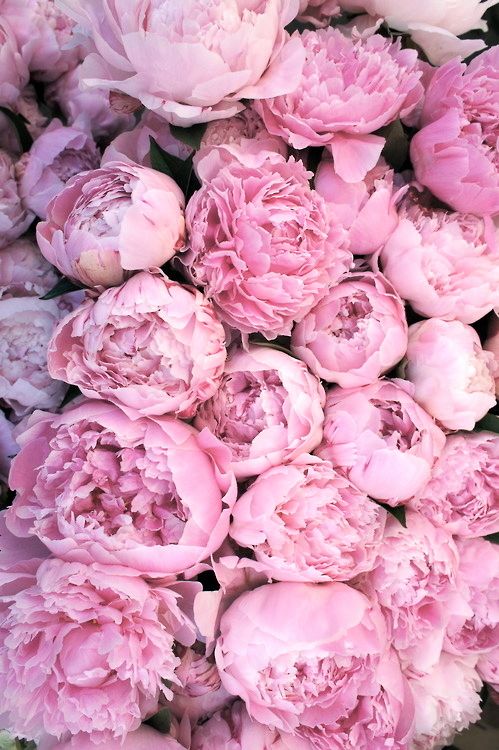  photo vlarge_zps60462ad9.jpg