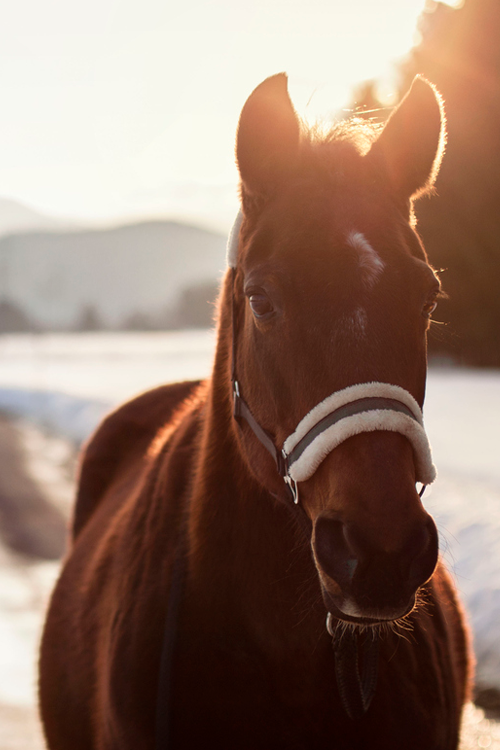  photo large_zpsd04c68a9.png