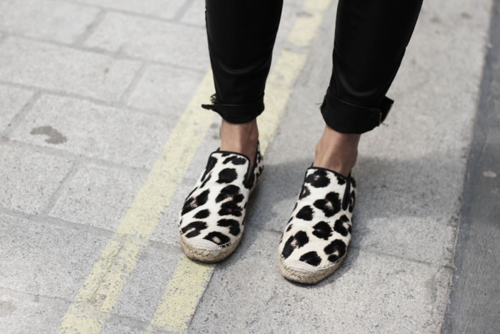  photo vcbvclarge_zps9ae3c034.png