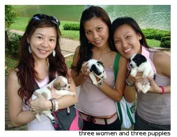 3 women and 3 dogs
