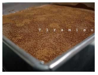 tiramisu