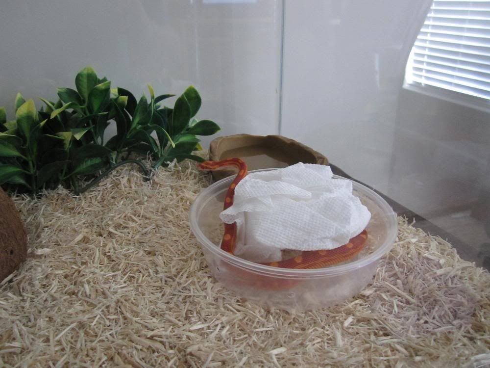 Image0.jpg
