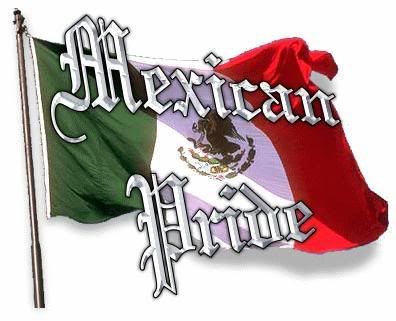 Mexico Flag Cool