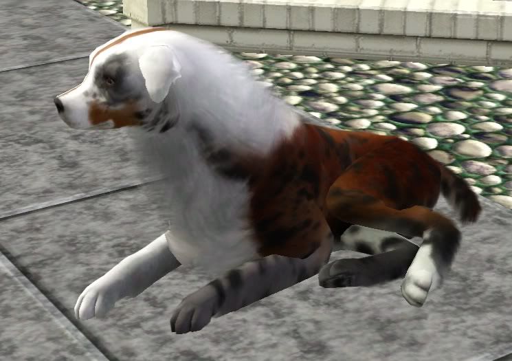 Screenshot-108.jpg