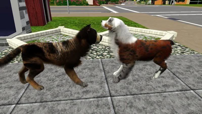 Screenshot-109.jpg