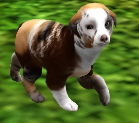 Screenshot-114.jpg