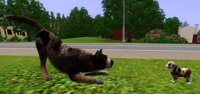 Screenshot-115.jpg