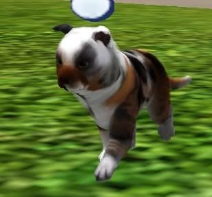 Screenshot-116.jpg