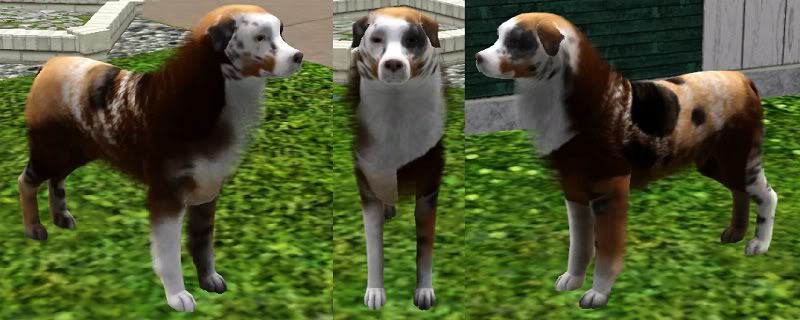 Screenshot-126.jpg