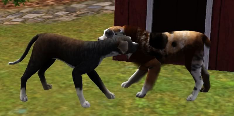 Screenshot-127.jpg